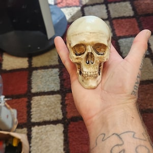 May include: A detailed, off-white skull replica with visible eye sockets, nasal cavity, and teeth. The skull is held in a hand. The image includes the text "This is my life. December 26, 2023 3:16 PM."