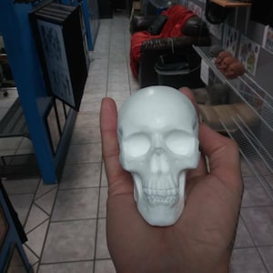 May include: White plastic human skull model. The skull is detailed with eye sockets, a nose, and teeth.