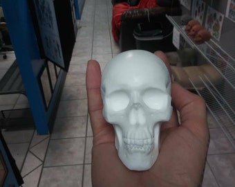 Mini hard plastic skull. Very good detail. Set on shelf or paint it. Also great shifter knob just drill and tap.