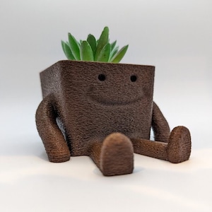 Happy Succulent Planter Pot