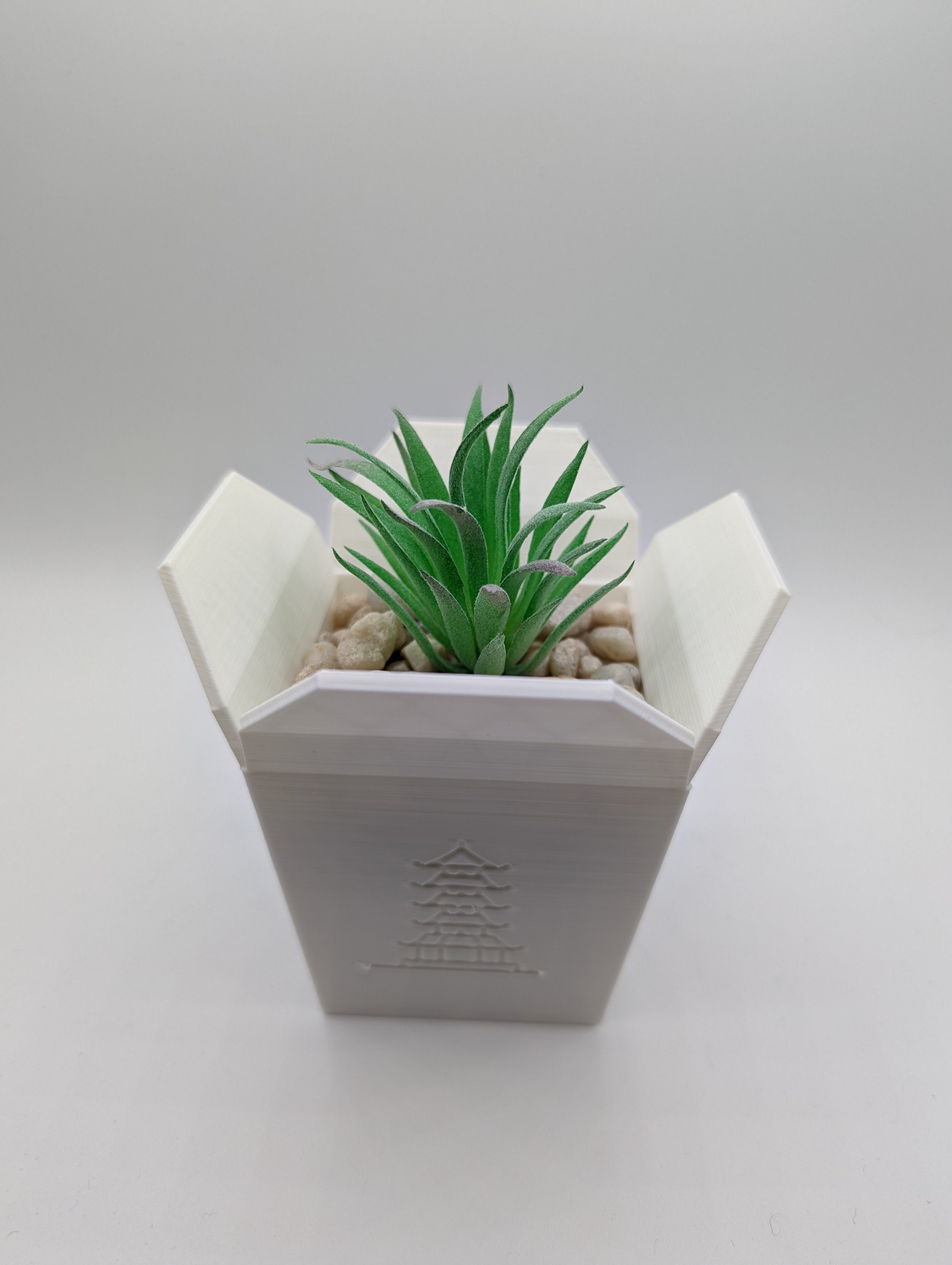 Chinese Takeout Planter Etsy