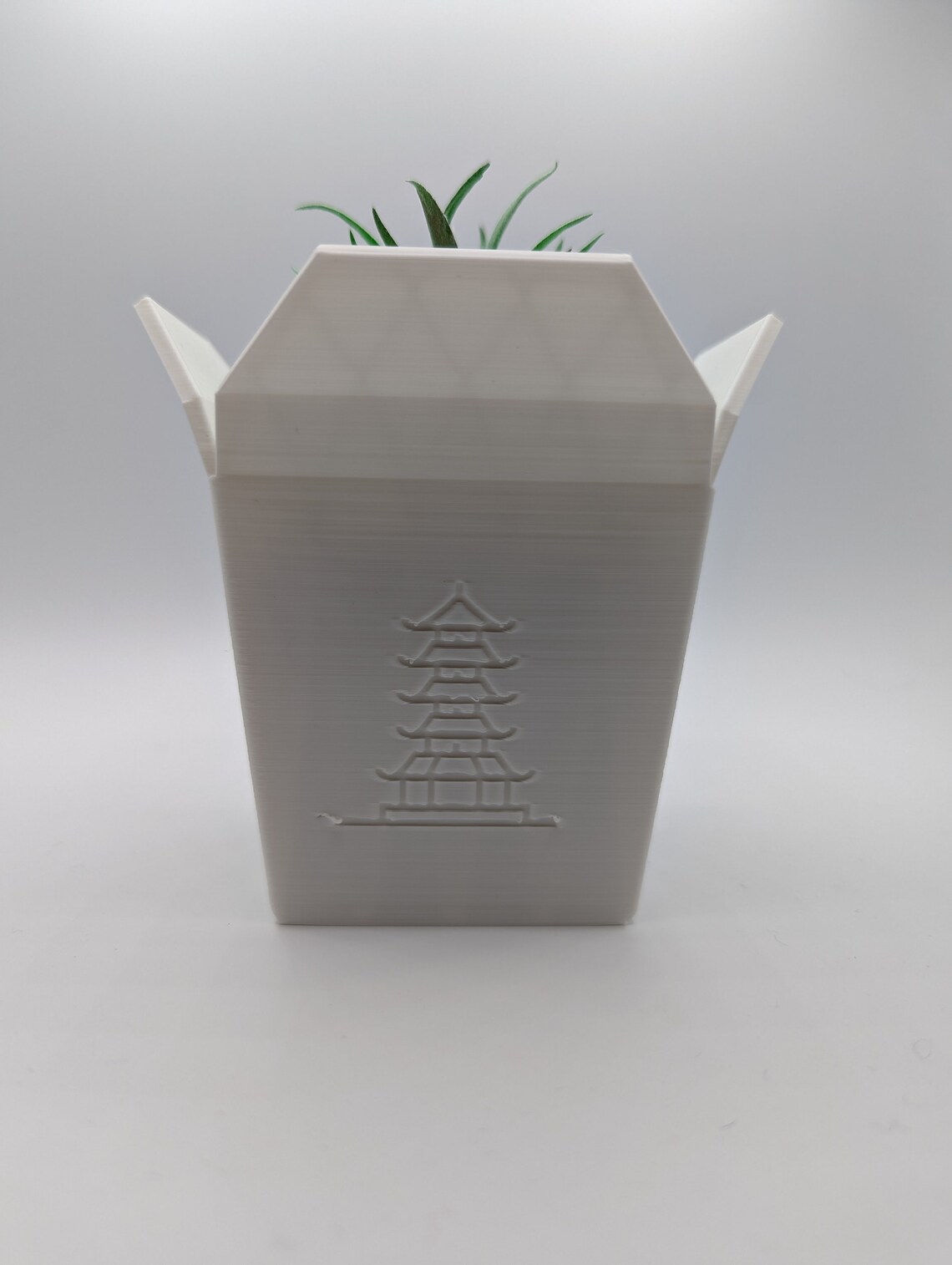 Chinese Takeout Planter Etsy