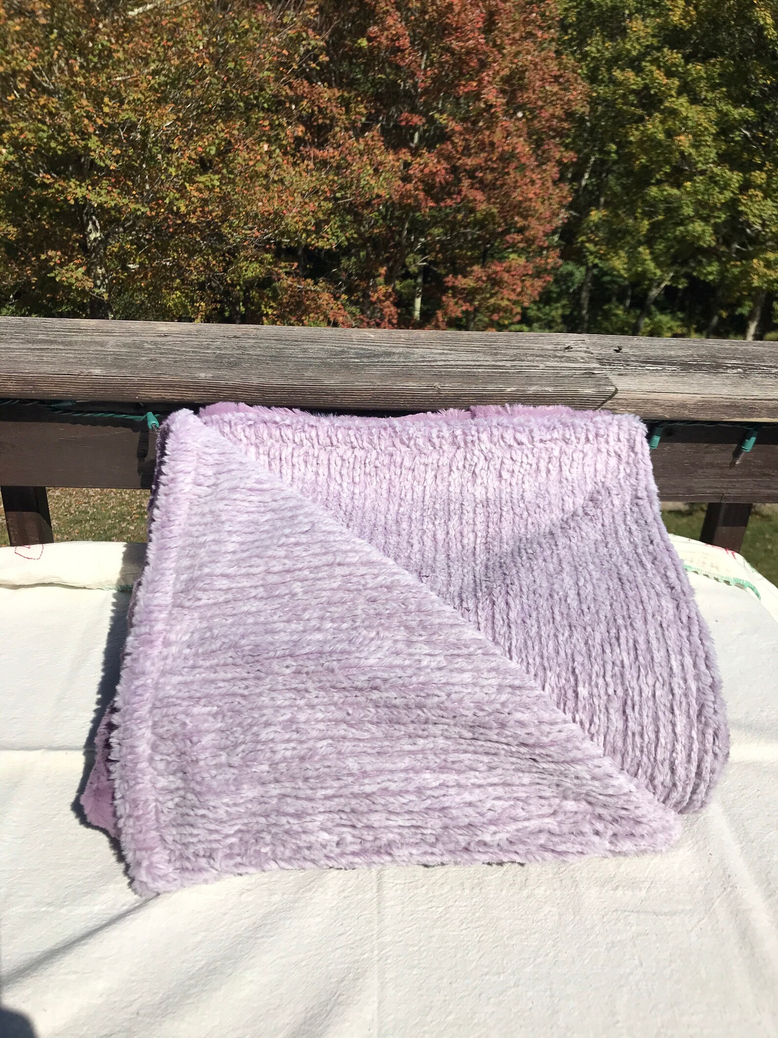 Purple Adult Minky Throw Blanket 2 Layer Minky Blanket XL Etsy