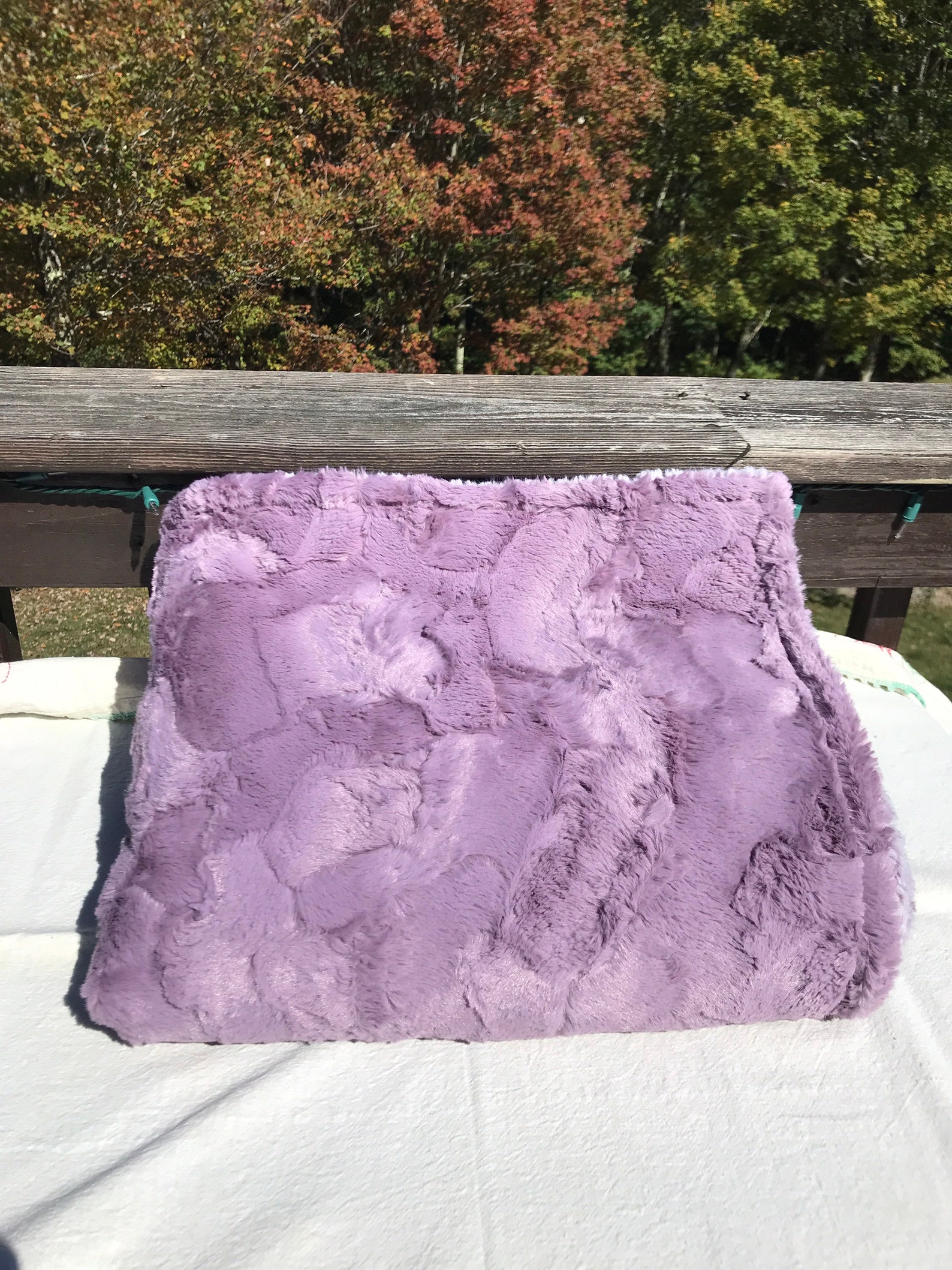 Purple Adult Minky Throw Blanket 2 Layer Minky Blanket XL Etsy