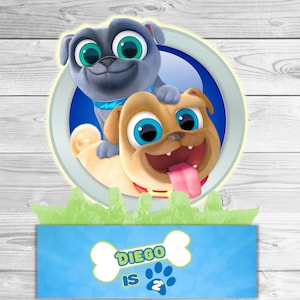 Puppy Dog Pals Centerpiece (Choice of Characters)