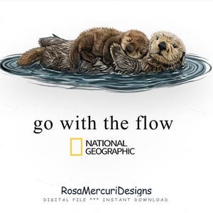 May include: An illustration of two sea otters floating in water. One otter is cradling a smaller otter. The image includes the text "go with the flow" and the National Geographic logo. The bottom of the image includes the text "RosaMercuriDesigns".