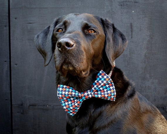 german shepherd dog original breed