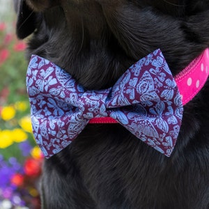 May include: A black dog wearing a pink and white polka dot collar with a blue and purple bow tie featuring a butterfly pattern.