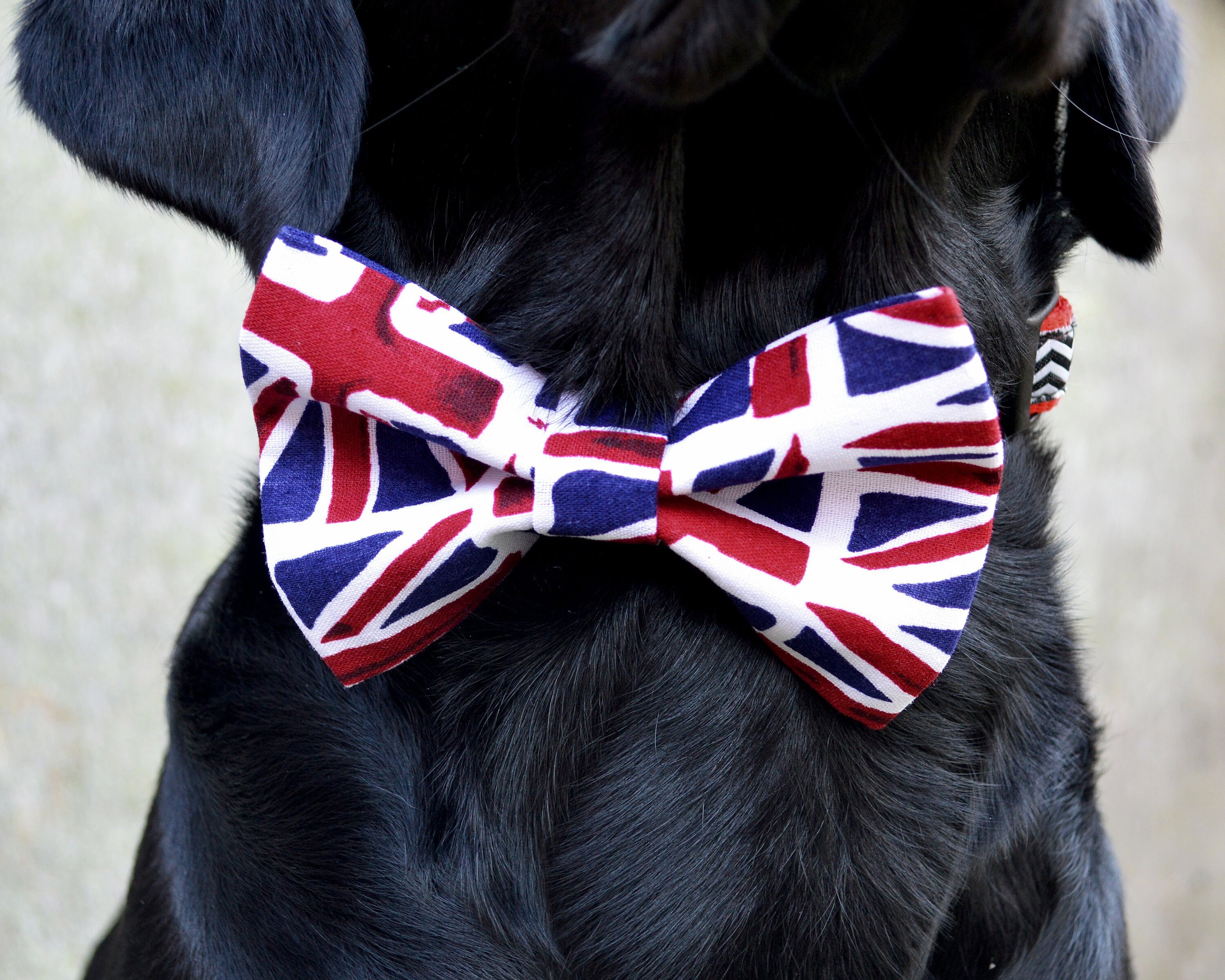 Large Dog Bow Tie Wacky Jacks UK Union Flag Pet Collar Etsy