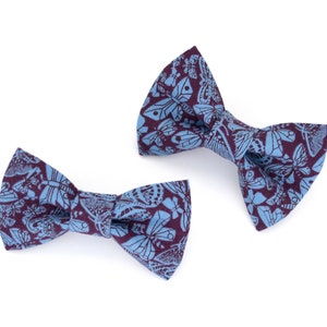 Small Dog Bow Tie - Blue Butterfly Bugs - Pet Accessory