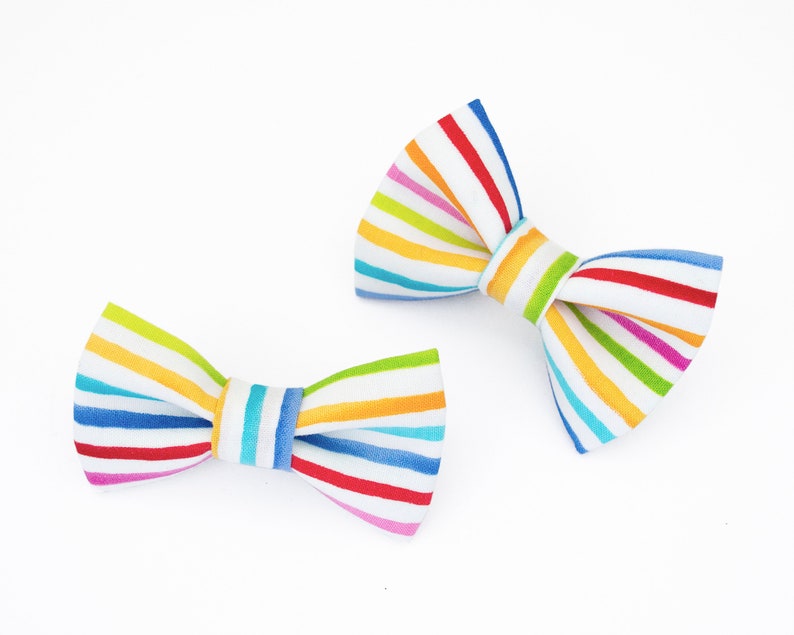 rainbow dog bow tie