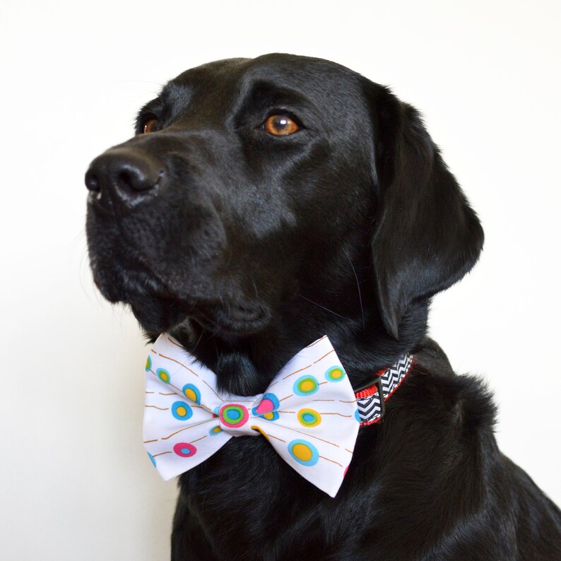 Colourful Spots Pet Collar Accessory Medium Dog Bow Tie