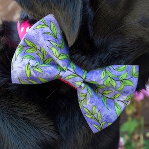 Large Dog Bow Tie - Vines on Purple. Pet Collar Accessory