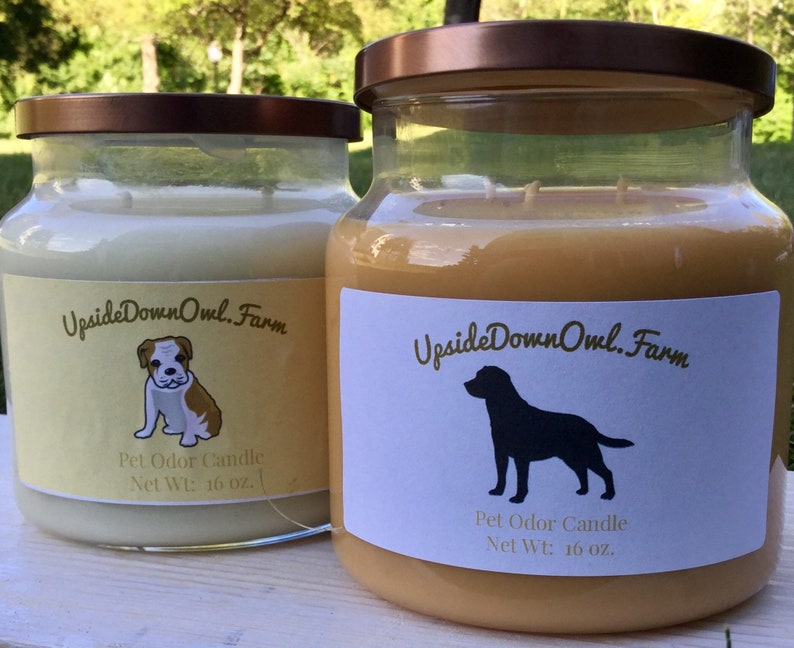 Sale Odor Eliminating Candle Smoke Odor Candle Pet Candle Etsy