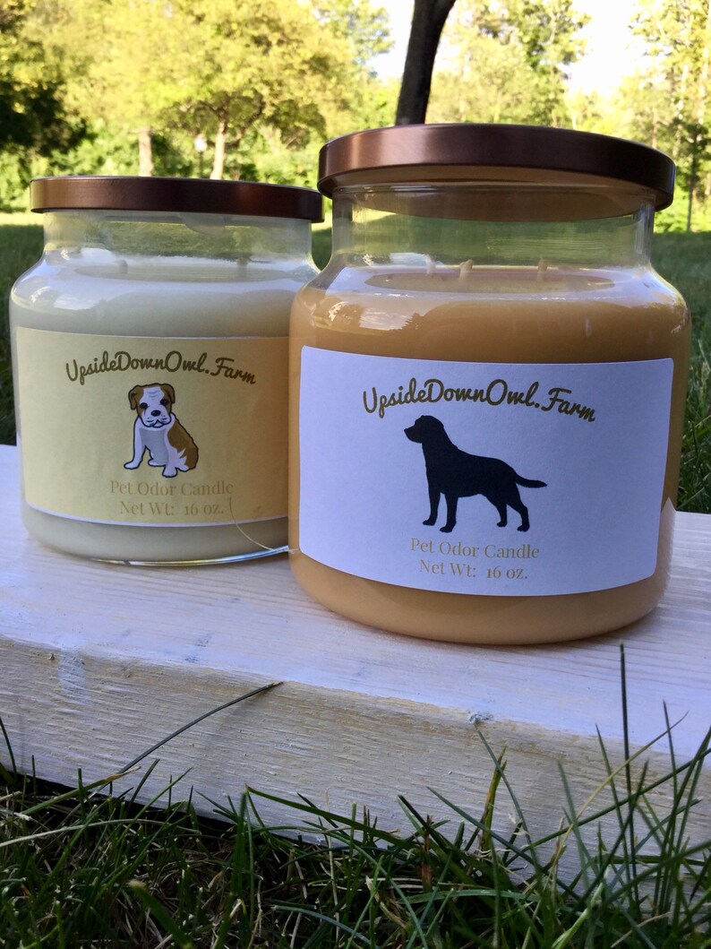Sale Odor Eliminating Candle Smoke Odor Candle Pet Candle Etsy