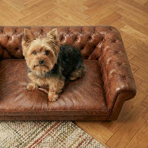 May include: A small brown and black dog sits on a brown leather dog sofa. The sofa has a tufted design and is placed on a patterned rug and wooden floor. The brand name "HARLEQ" is visible in the top left corner.