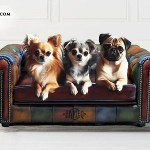 May include: Three small dogs of different breeds sit on a leather couch. The couch is brown with colorful panels and nailhead trim. The dogs include a long-haired Chihuahua, a short-haired Chihuahua, and a Pug. The text "HARLEQ.COM LUXURY PETS" is in the upper left.
