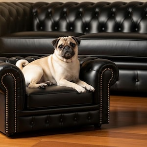 May include: A tan pug dog lounges on a small, black leather armchair with button tufting and brass nailhead trim. A matching black leather sofa is in the background. The image is branded with the text "HARLEO PET COLLECTION".