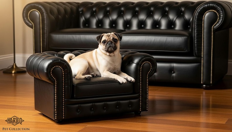May include: A tan pug dog lounges on a small, black leather armchair with button tufting and brass nailhead trim. A matching black leather sofa is in the background. The image is branded with the text "HARLEO PET COLLECTION".
