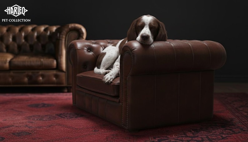 May include: A brown and white dog rests on a brown leather armchair. The armchair is part of a set, with a matching sofa visible in the background. The furniture is placed on a red patterned rug. The image includes the text "HARLEQ PET COLLECTION".