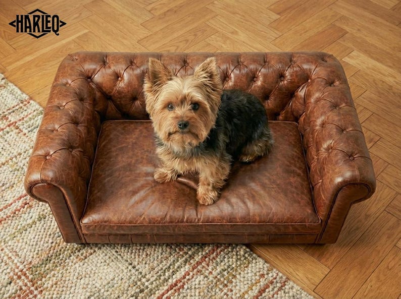 May include: A small brown and black dog sits on a brown leather dog sofa. The sofa has a tufted design and is placed on a patterned rug and wooden floor. The brand name "HARLEQ" is visible in the top left corner.