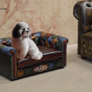 May include: A small dog sits on a miniature leather sofa. The sofa has a multi-colored patchwork design with red, blue, green, and brown hues. The sofa is branded with the text "HARLEQ.COM LUXURY PETS".