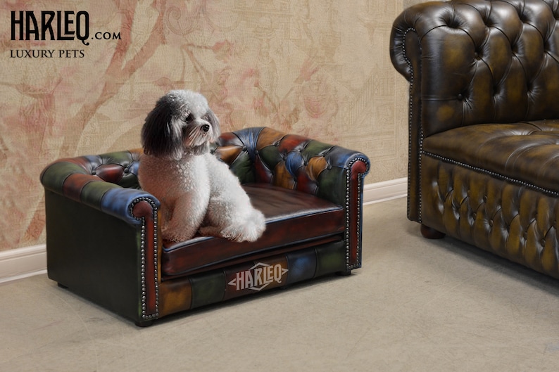 May include: A small dog sits on a miniature leather sofa. The sofa has a multi-colored patchwork design with red, blue, green, and brown hues. The sofa is branded with the text "HARLEQ.COM LUXURY PETS".