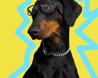 Dog Glasses ( Kaykos CKlarity Collection Medium Breed Dogs )