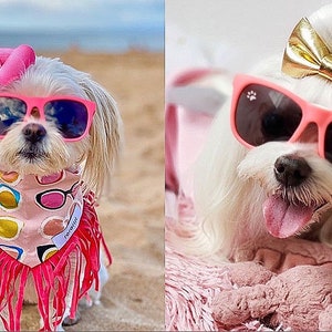 Lunettes de soleil pour chien petites Hot Pink