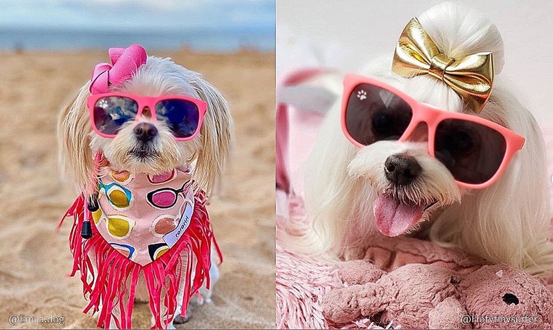 Lunettes de soleil pour chien petites Hot Pink