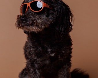 Alienator Hund Sonnenbrille (Klein)