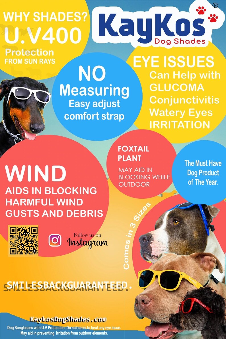 Gafas de sol para perros medianas imagen 2