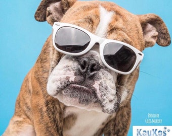 Dog Sunglasses (Large)
