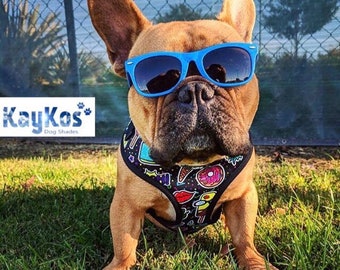 Dog Sunglasses (Medium)