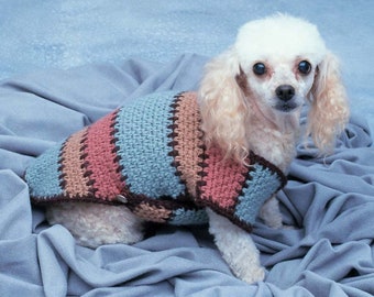 May include: A white poodle wearing a crocheted sweater with blue, pink, and brown stripes. The sweater has a button closure.