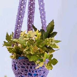 May include: Purple crocheted hanging planter with a green and white variegated plant inside.