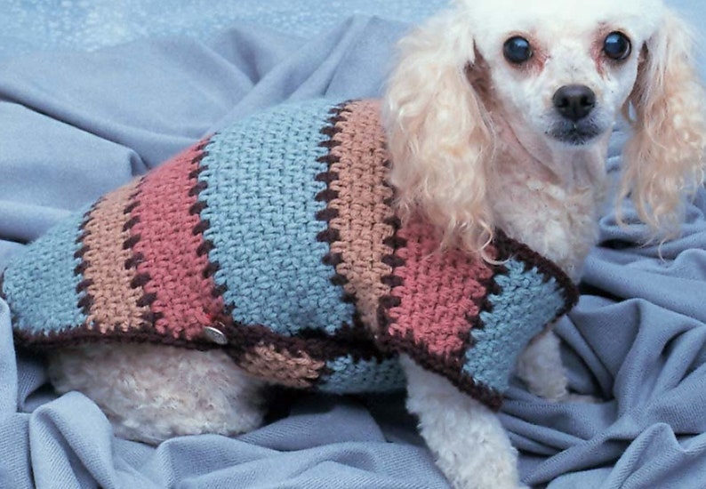 Crochet Dog Sweater Pattern Southwestern Button Sweater Coat Etsy