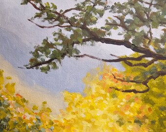 Color in Rainfall, Landscape, Oil Painting, Fall Colors, Plein Air