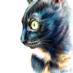 Tortoiseshell Cat Art PRINT - Tortie - Original Drawing - Beautiful Cat Illustration - Wall Art - Cat Lover Gift - Gift for Her