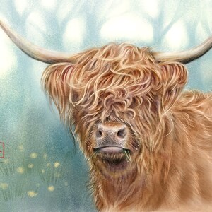 Highland Cow Artwork Giclée Art Print Chinese Zodiac Animal Art by Reva Chen image 1