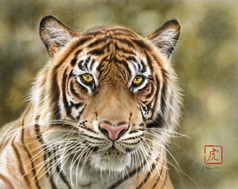 Tiger Artwork Giclée Art Print - Art by Reva Chen