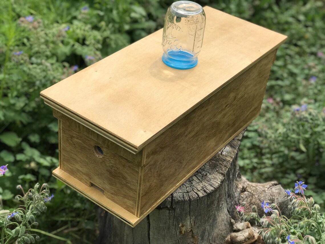 5 Medium Frame Bee Nuc Box Mating Nuc Swarm Trap option to Etsy