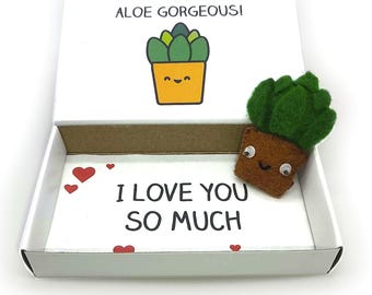 Handmade Felt Aloe Magnet - 'Aloe' Love Gift