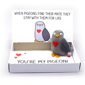 Pigeon gift - Pigeon soulmate gift - Cute, handmade pigeon anniversary soulmates gift