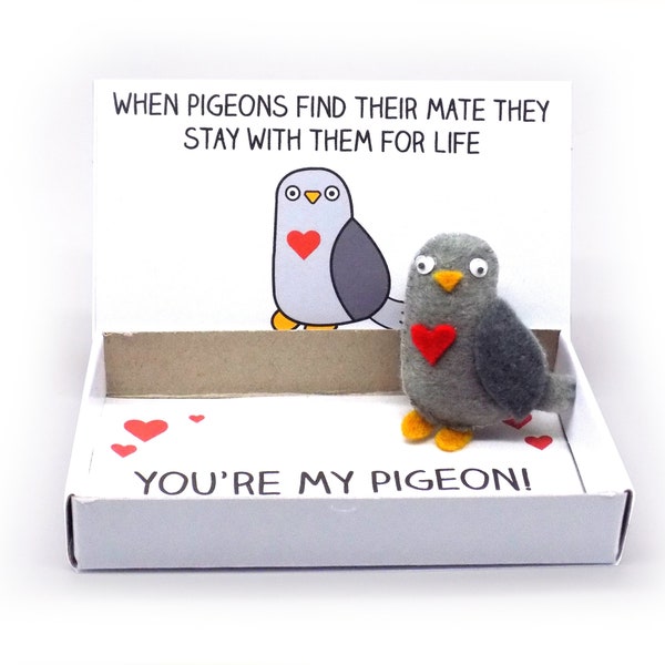 Pigeon soulmate gift - Cute, handmade pigeon soulmates gift