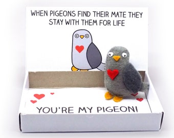 Pigeon soulmate gift - Cute, handmade pigeon soulmates gift