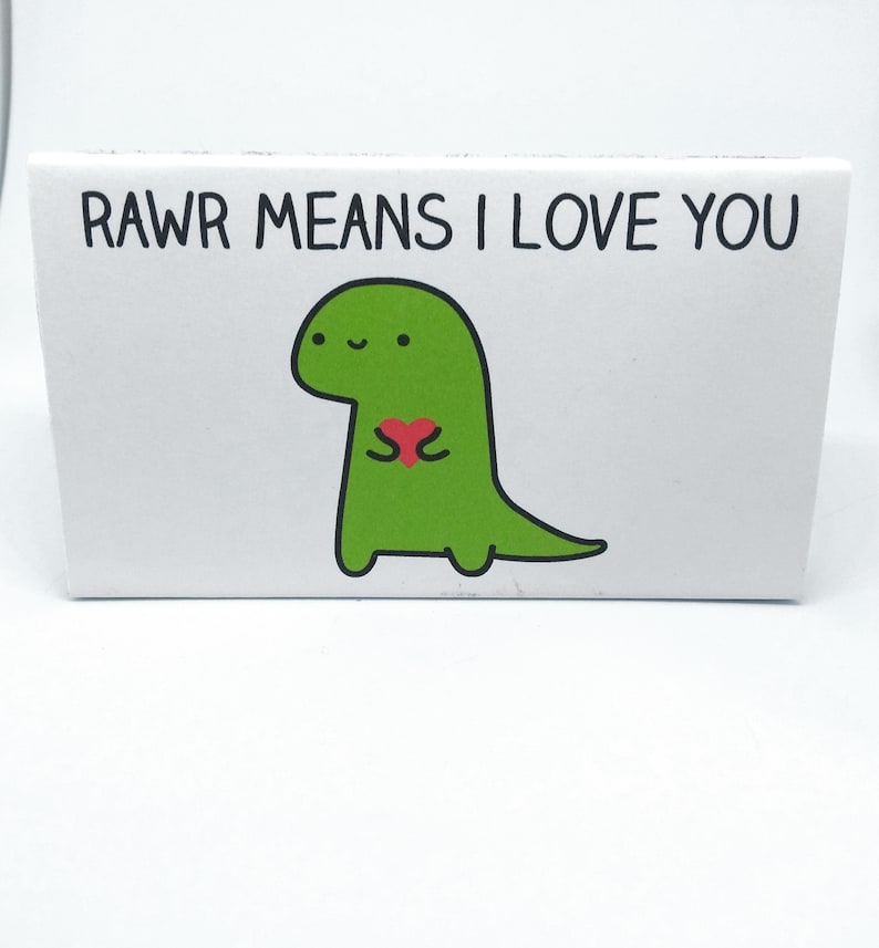 Cute miniature felt dinosaur magnet in matchbox with .RAWR means I love you in dinosaur/' message cute romantic gift