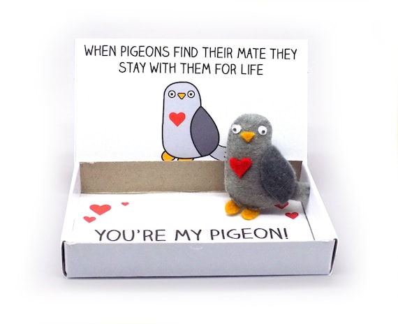 Pigeon soulmate gift - soulmate gift - magnet in a matchbox