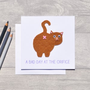 FELT Funny cat card with a cat butt office joke for work image 2