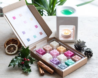 Christmas Wax Melts Selection Box with Recipe Card Wax Melt Snap Bars 100% Natural soy wax tea light candle oil burner home fragrance gift